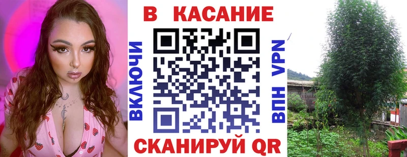 Купить закладку Велиж ГАШ  МДМА  АМФ  Конопля  Меф мяу мяу  LSD-25  КОКАИН 