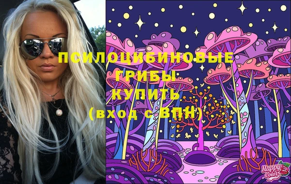 mix Бородино