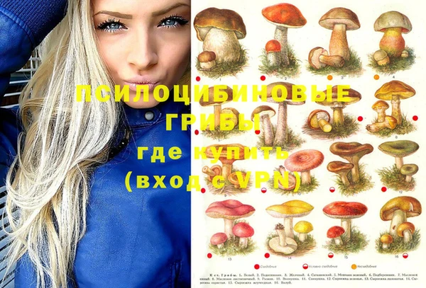 дживик Бугульма