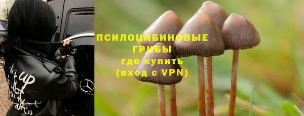 дживик Бугульма