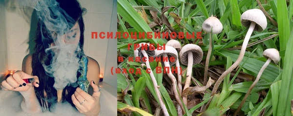 mix Бородино